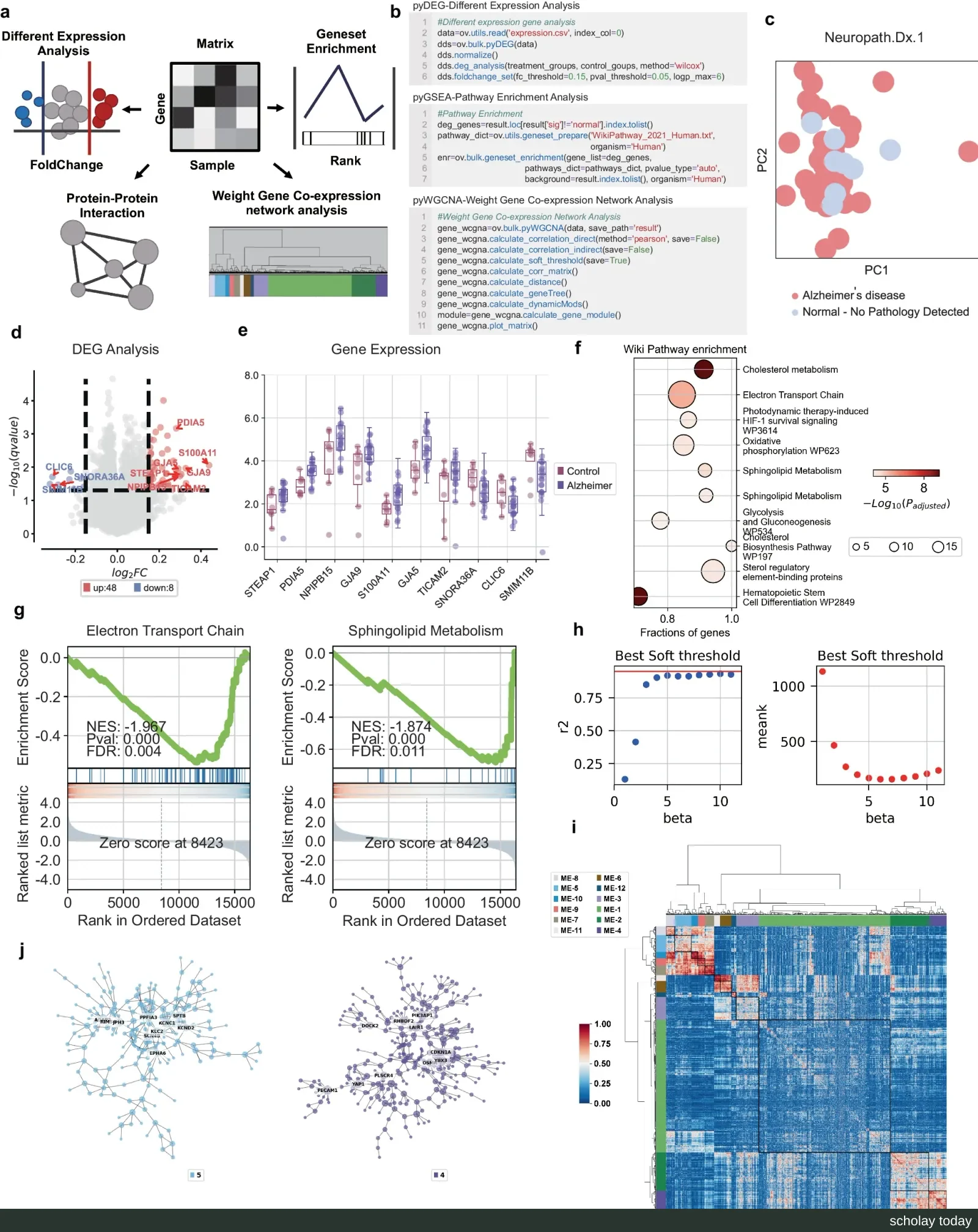 OmicVerse bulk RNA-seq 分析多面板图:流程示意、代码、PCA、火山图、箱线图、富集结果与 WGCN。
