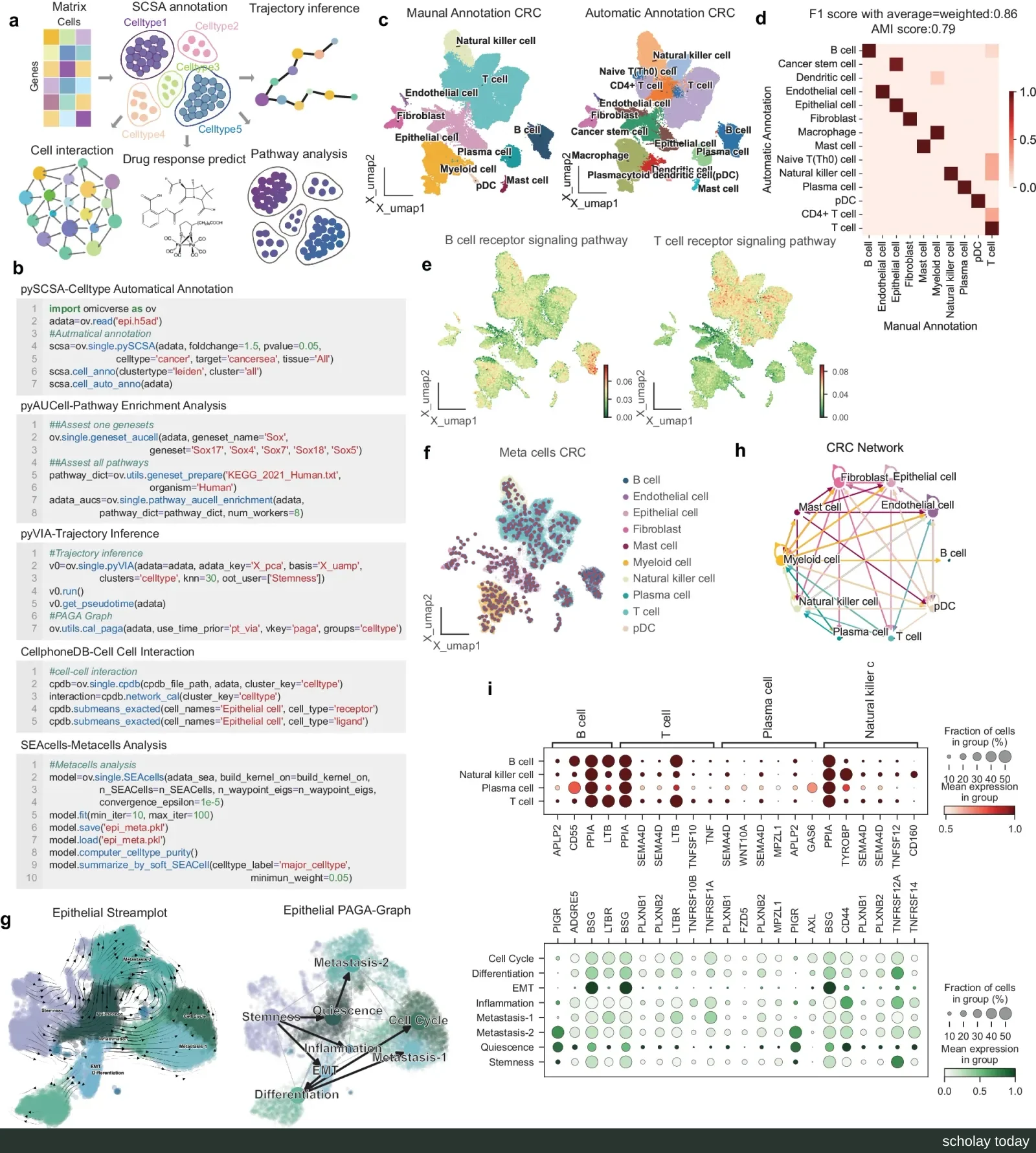 OmicVerse 单细胞分析多面板图:模块示意、代码片段、结直肠癌数据 UMAP 注释对比、混淆矩阵与细胞通讯网络