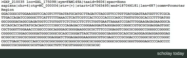 FAM149A 基因启动子区的一条 FASTA 记录,首行以大于号开头写明序列名称,下面是多行 ACGT 碱基序列